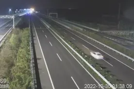 定速巡航失灵解析及自救——记浙A轿车定速巡航失灵惊魂两小时图片