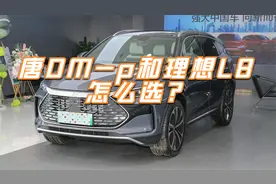 比亚迪唐DM-p和理想L8怎么选？优势劣势很明显视频封面