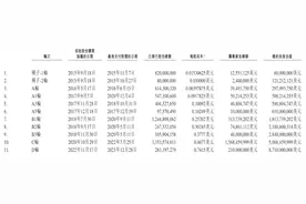 中国智能驾驶芯片公司龙头地平线即将登陆港股市场图片