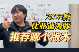 销冠再进化！购买推荐 2025款比亚迪海豚智驾版视频封面