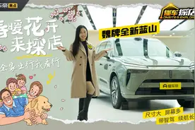 尺寸大，屏幕多，带智驾！探店魏牌全新蓝山，全家出行真不错！视频封面