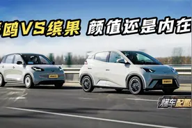 比亚迪海鸥VS五菱缤果：内在美和外在美谁重要？视频封面