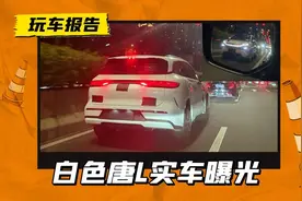 微型刹车灯亮了！白色唐L实车首曝，中大型SUV/配激光雷达图片
