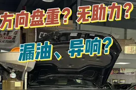 奥迪A8方向盘变重/漏油/异响？一招根治图片