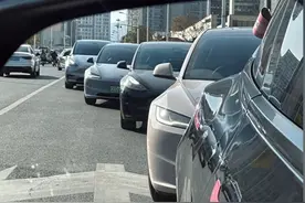 “邪恶大鼠标、捣蛋蛤蟆”，路上遇到过吗？图片