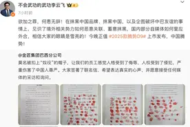 巴西工地奴役中国劳工？比亚迪官方回应图片