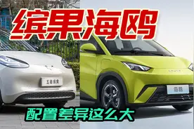 比亚迪海鸥VS五菱缤果，全面对比配置后，差别真的大视频封面