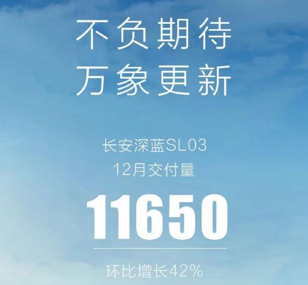 12月汽车销量排行榜，15家新能源品牌销量排名，比亚迪以1敌14？