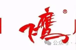 【品牌发展历程】飞鹰的前世今生图片