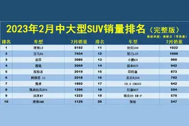 心酸！2月中大型SUV销量榜：竟无一款破万，理想L8夺冠，途昂季军图片