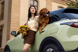 吉利星愿上市：2个亮点，2个不足，海鸥和海豚都在其射程范围图片