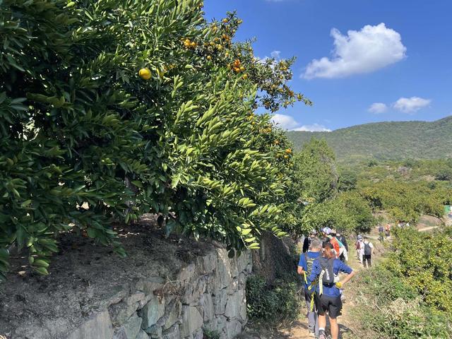 沃尔沃XC90插混版一次混动徒步之旅