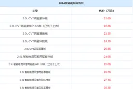 2024款威飒正式上市！共计10款车型，售价区间21.68万—30.38万图片