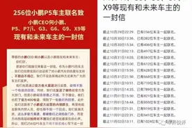 都是“限量版”惹的祸？汉EV千山翠版车主致信王传福OTA“欺诈”图片