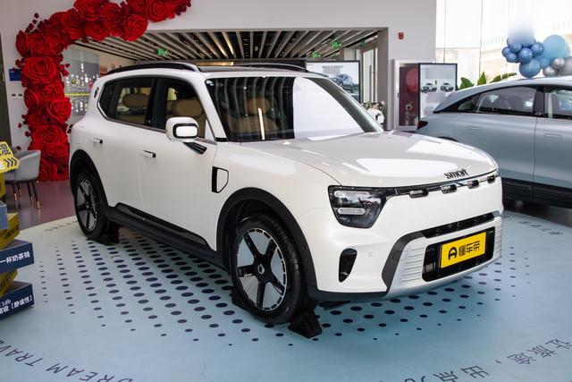 20万内插混SUV，无框车门+真皮座椅，smart精灵#5 EHD