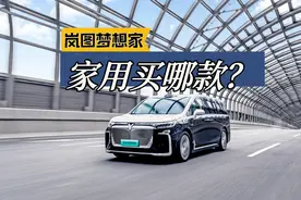 最近销量飙升的全新岚图梦想家，哪款更适合家用？图片