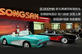 售价70万元，松散SS DOLPHIN上市，能上新能源F绿牌图片