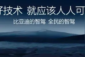 比亚迪“天神之眼”为何被怼？图片