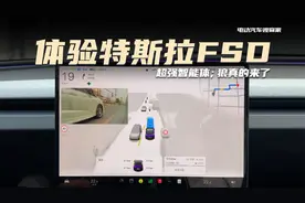 体验特斯拉FSD，超强智能体；狼真的来了视频封面
