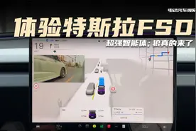 体验特斯拉FSD，超强智能体；狼真的来了视频封面