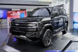 养一台方程豹豹5一年需要多少钱？家用养车难不难？图片