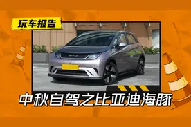 高温退去适合郊游！纯电的小海豚，可以满足你的这些需求图片
