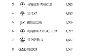 百万级别SUV销量排行榜！卡宴夺冠，路虎卫士第二图片