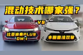 探店丨比亚迪秦&丰田雷凌：混动技术哪家强？图片