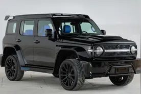 限量7000辆发售！坦克300黑化特别版曝光 预售33万起！图片