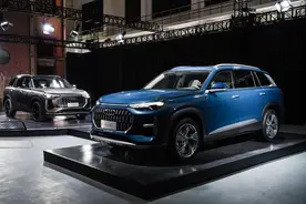 预售50-65万，史上最大的奥迪SUV！静态体验奥迪Q6图片