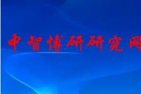 中国B2C电子商务市场运营趋势与前景预测分析报告2025-2030年图片