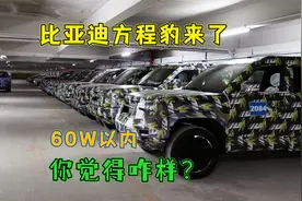 解读个性化变革，比亚迪方程豹来了，对标奔驰大G，60W以内有戏吗视频封面