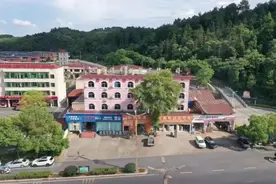 经销商·窒息 | 二十年，我从挣下一家4S店到负债4000万图片