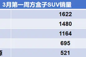 3月第一周方盒子SUV销量出炉！哈弗大狗是销冠，豹5不敌坦克300图片