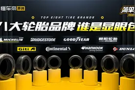 坦白局：A级轿车8款轮胎省油/安全/耐用比拼，谁更拉胯买不得？视频封面