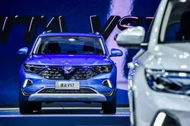 车型“变”品牌，国产成功了，为啥捷达却成了大众的“败笔”？图片