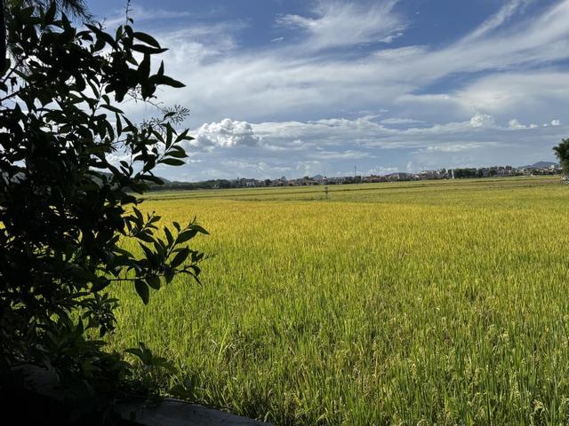 埃安UT秋日户外探险日记