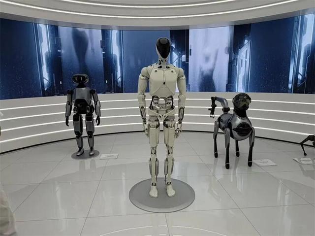 六子只吃了一碗粉 如果未来有硅基生命，小鹏一定会被写入历史