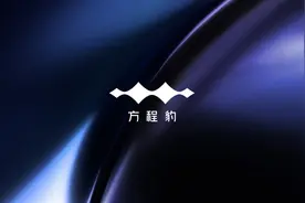 方程豹logo发布，采用极简风格，很个性化图片