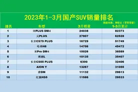 官宣！1-3月国产SUV销量榜：1-128名，宋PLUS DM-i卫冕，博越L第6图片