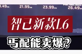 入门就满配！丐配能卖爆？全新智己L6正式上市！视频封面