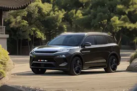 全新比亚迪唐L要来了！配大6座+激光雷达，还带云辇-C，能火？图片