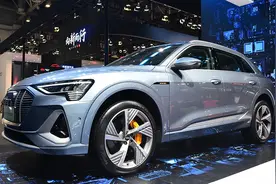 买奥迪e-tron以为电车省，没想到新保险一年1万2图片