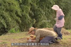 狗狗刚出生就是智障，却用爱创造了奇迹，结局催人泪下视频封面