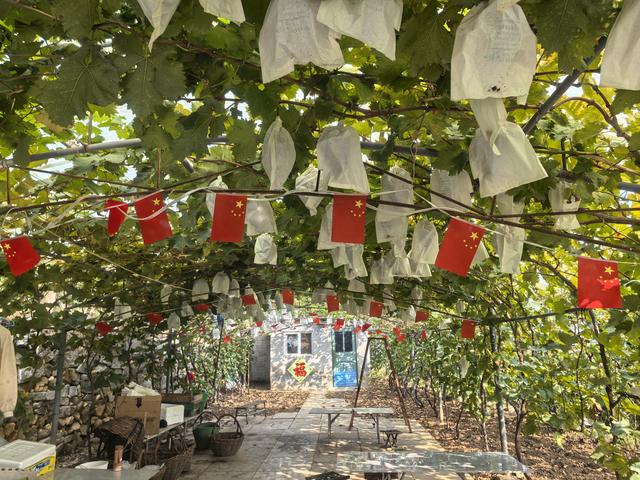宝马i3/i5 赴一场山海葡香的青岛-大泽山自驾之约