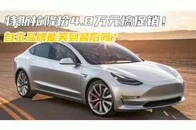 国补取消，特斯拉反降4.8万元搞促销！自主品牌能笑到最后吗？