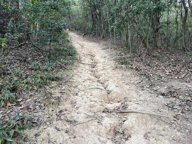 沃尔沃XC90插混版一次混动徒步之旅