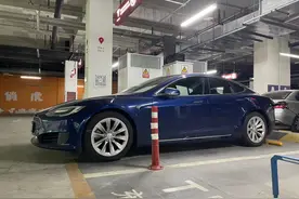 罚款400块！蓝牌特斯拉不香了图片