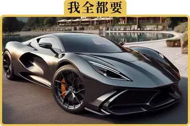 买新车，要哪些赠品最有用图片