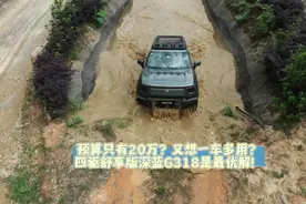 预算只有20万？又想一车多用？四驱舒享版深蓝G318是最优解！视频封面